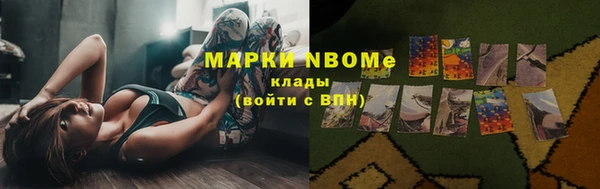 PSILOCYBIN Новосибирск