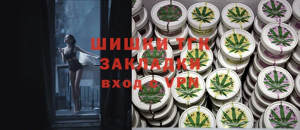 скорость Щигры